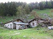 Salita da Schilpario sul sentiero 423 al Passo di Corna Busa (1940 m.) il 19 maggio 09 - FOTOGALLERY